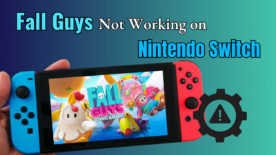ffll-guys-not-working-on-nintendo-switch