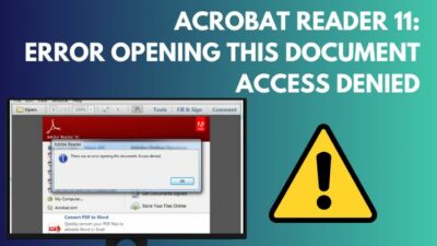 acrobat-reader-11-error-opening-this-document-access-denied