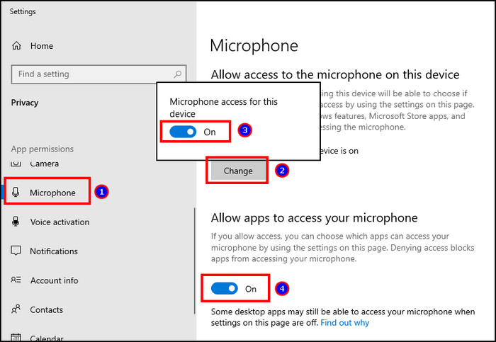 allow-microphone-access