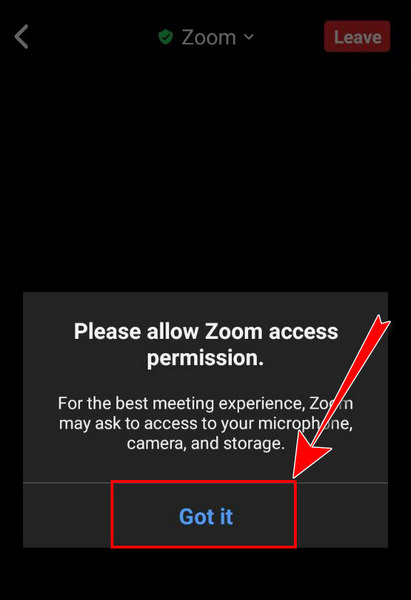 allow-zoom-access-permission