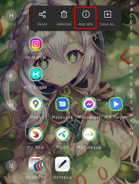 android10-instagram-app-info
