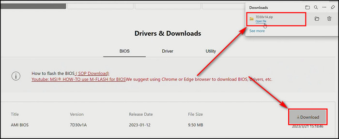 bios-file-download