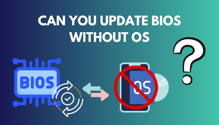 can-you-update-bios-without-os