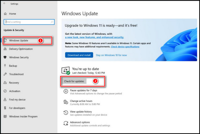 check-for-windows-11-update