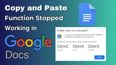 copy-and-paste-function-stopped-working-in-google-docs-d