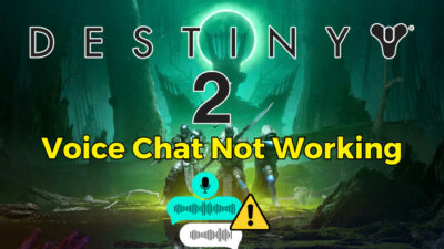 destiny-2-voice-chat-not-working