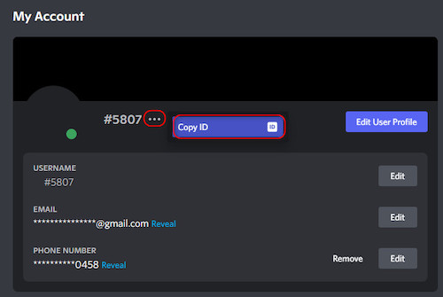 How To Find Discord User ID In Less Than 2 Minutes [2023]