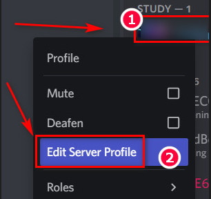 discord-edit-server-profile