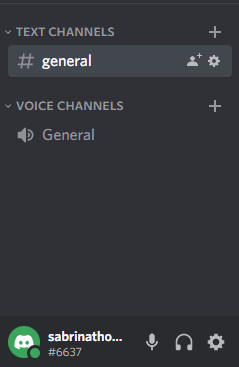 discord-no-voice-connected-message