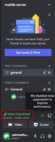 discord-voice-connected-server-page