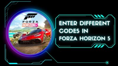 enter-different-codes-in-forza-horizon-5