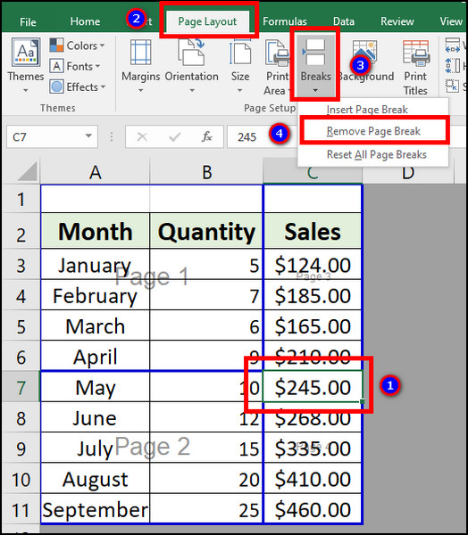 excel-remove-both-page-break-from-page-break-preview-2