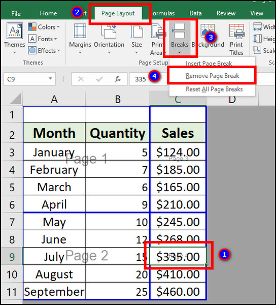 excel-remove-vertical-page-break-from-page-break-preview-2]