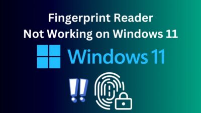 fingerprint-reader-not-working-on-windows-11