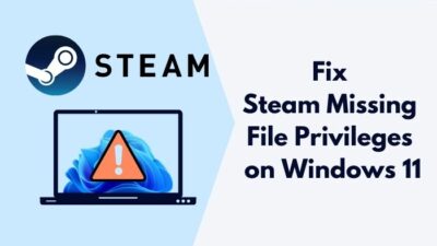 fix-steam-missing-file-privileges-on-windows-11