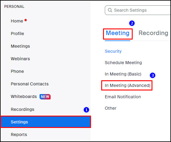 go-to-in-meeting-advanced-in-zoom-web-portal