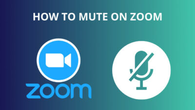 how-to-mute-on-zoom