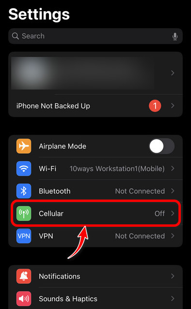 iphone-cellular-settings