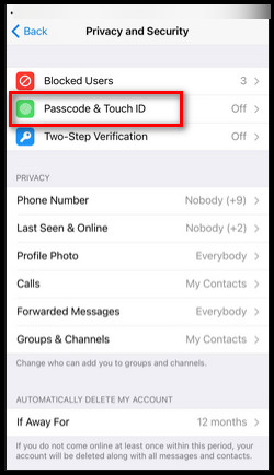 iphone-telegram-passcode_touchid