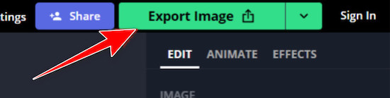 kapwing-export-image