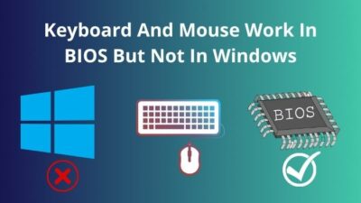 keyboard-and-mouse-work-in-bios-but-not-in-windows
