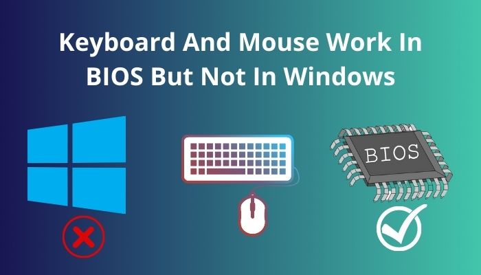 keyboard-and-mouse-work-in-bios-but-not-in-windows