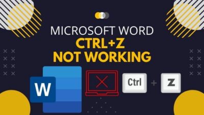 microsoft-word-ctrl-z-not-working