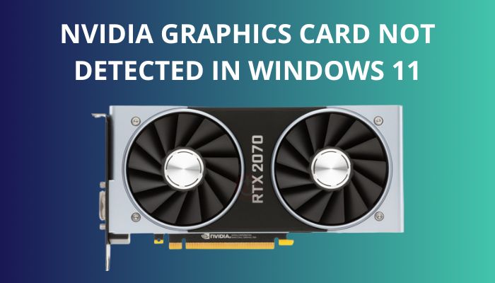 nvidia-graphics-card-not-detected-in-windows-11-s