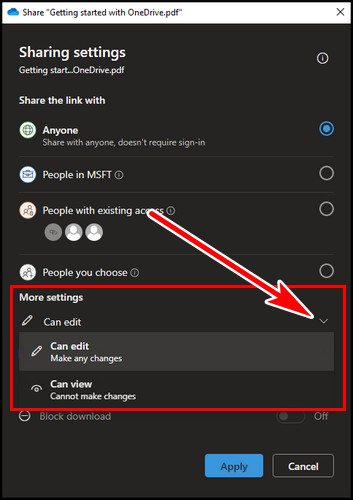 one-drive-can-edit-can-view-settings