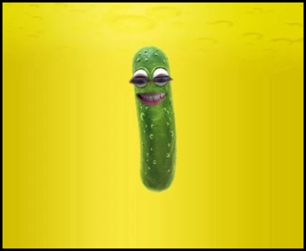 pickle-snap-camera