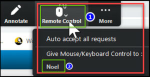 Request Or Allow Remote Control on Zoom [Quick Guide 2024]