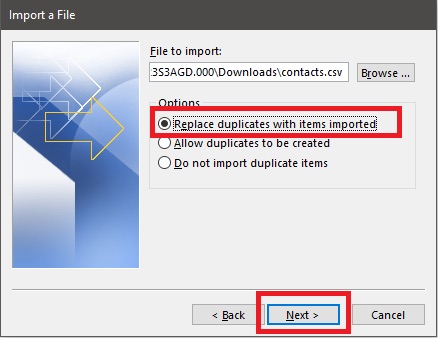 replace-duplicates-with-items-imported