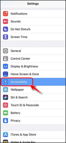 select-accessibility-option