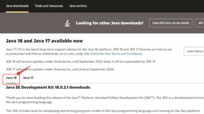 Is Java Necessary in Windows 11 [TRUTH REVEALED 2024]