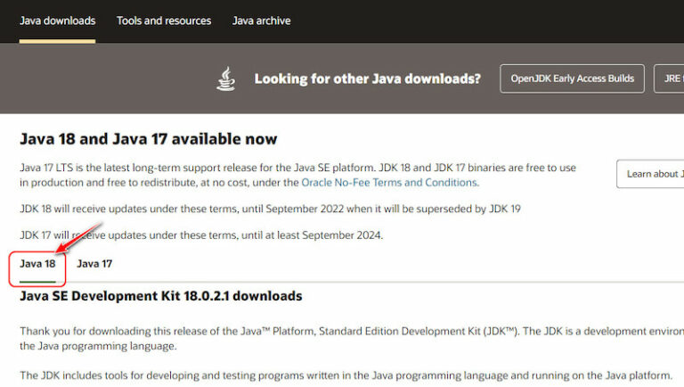 Is Java Necessary in Windows 11 [TRUTH REVEALED 2024]
