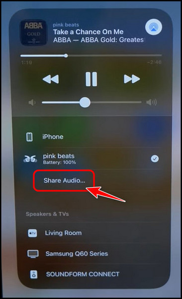 select-share-audio-button