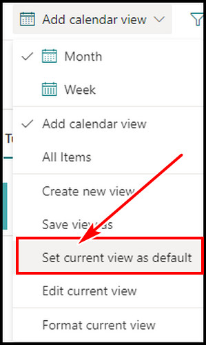 set-current-view-as-default