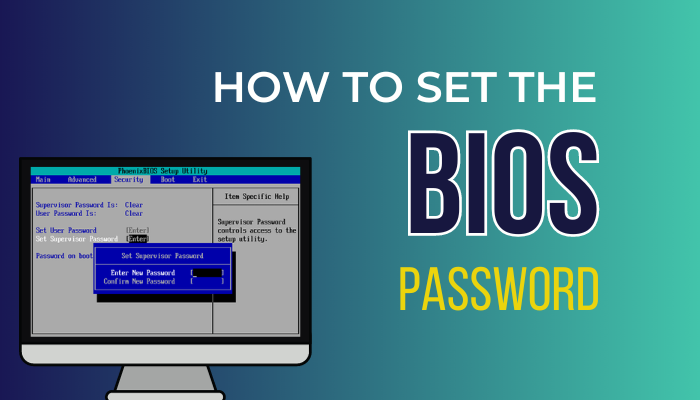 set-the-bios-password