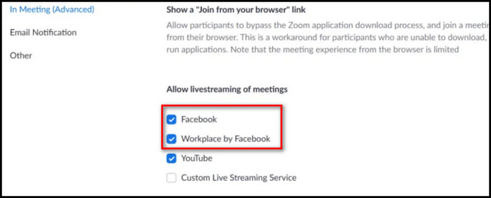settings-in-meeting-advanced-allow-live-streaming