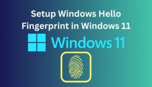 How To Setup Windows Hello Fingerprint In Windows 11?