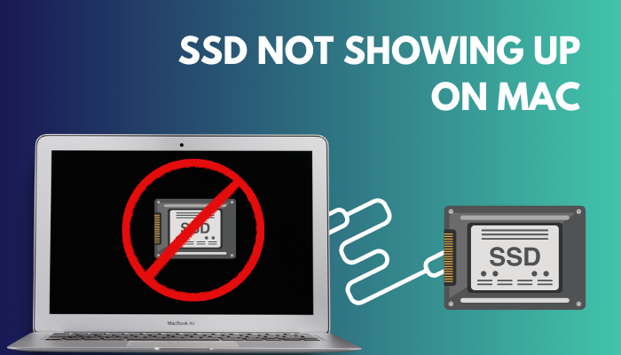 ssd-not-showing-up-on-mac