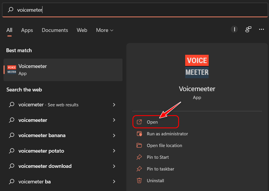 start-search-voicemeter