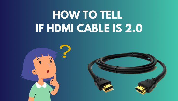 Alice til bundet tilbagebetaling How to Tell If HDMI Cable is 2.0 [Definitive Guide 2023]