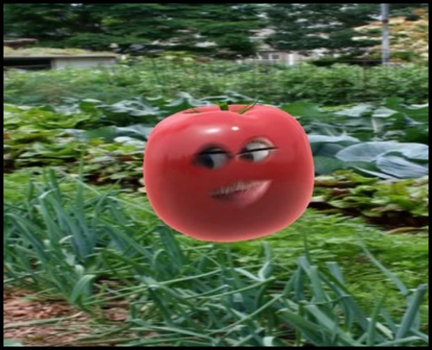 tomato-snap-camera