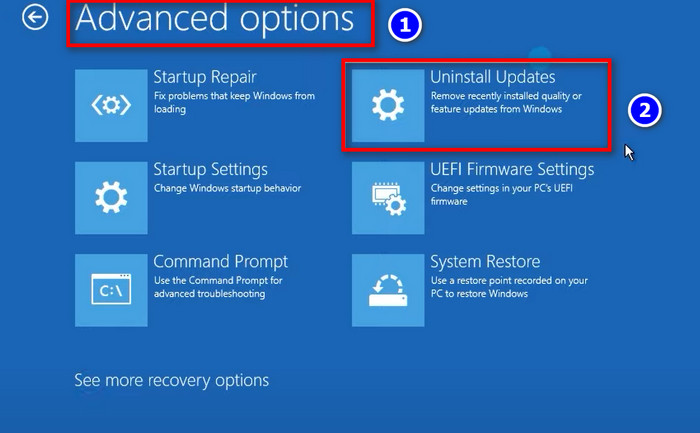 uninstall-update-advanced-options