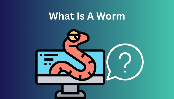 what-is-a-worm