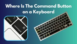 Where Is the Command Button on a Keyboard? [Guide 2024]