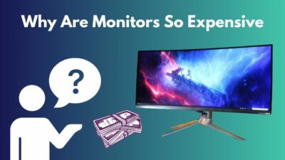 why-are-monitors-so-expensive