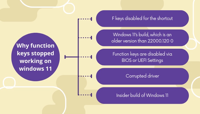 why-function-keys-stopped-working-on-windows-11