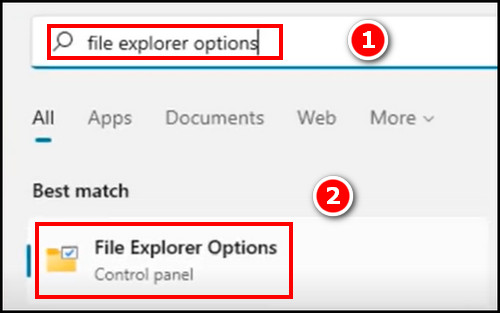 win11-search-icon-file-explorer-options